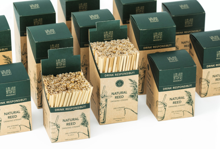 Sustainable Manufacturing Growth in the Horeca Sector via International Lead Generation